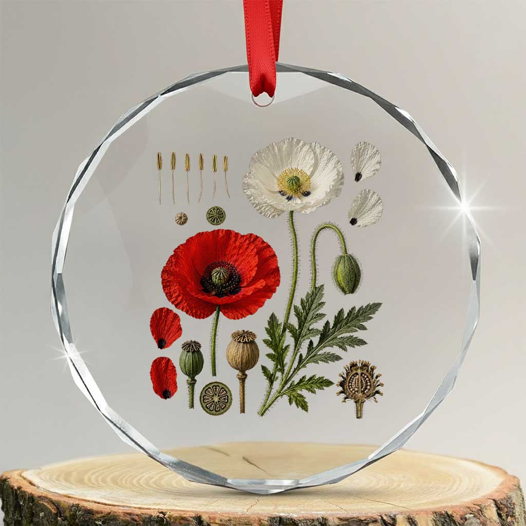 Summer Red Poppy Flower Botanical Poppies Vintage Print Memorial Day Floral Graphic Crystal Glass Ornament TS10 Transparent Glass 3'' Circle Print Your Wear