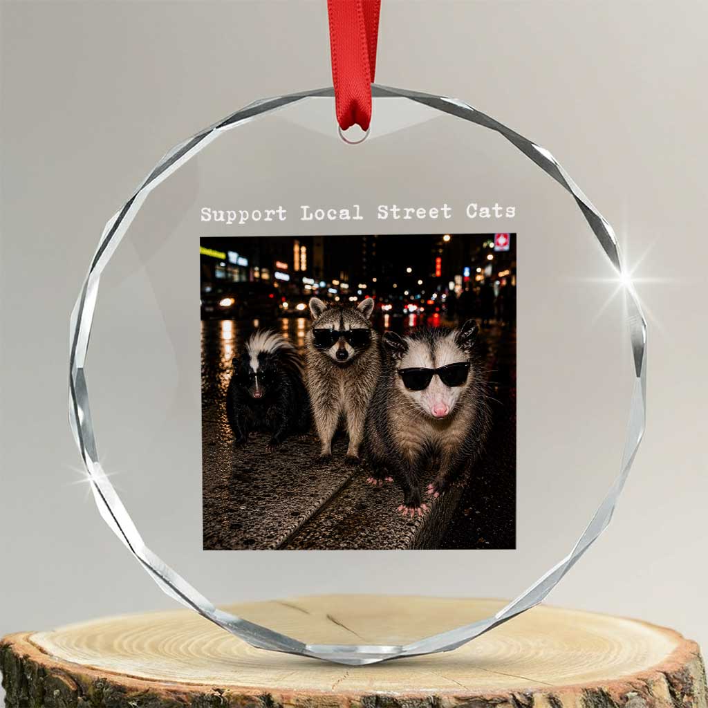Support Local Street Cats Crystal Glass Ornament Funny Raccoon Skunk Possum Animal Meme TS10 Transparent Glass 3'' Circle Print Your Wear