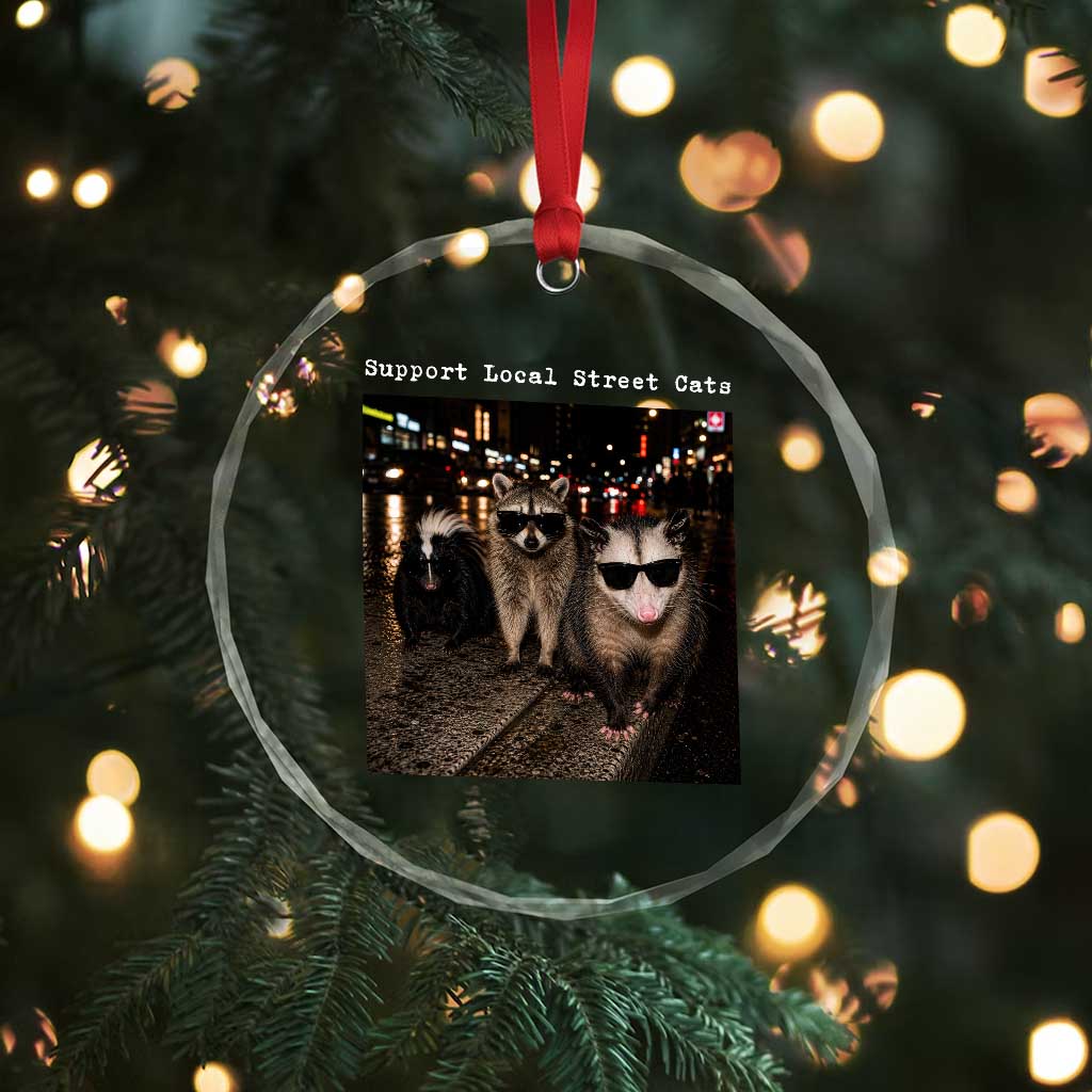 Support Local Street Cats Crystal Glass Ornament Funny Raccoon Skunk Possum Animal Meme TS10 Print Your Wear