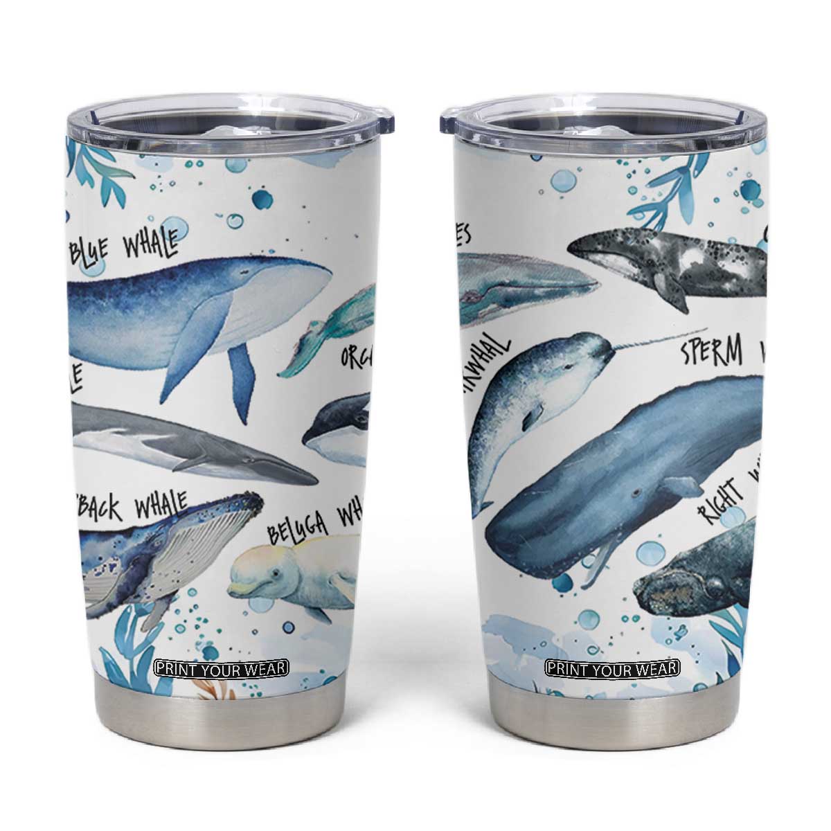 Shark Lovers Tumbler Cup Ocean Animal Species Of Sharks TB10 Blue Print Your Wear