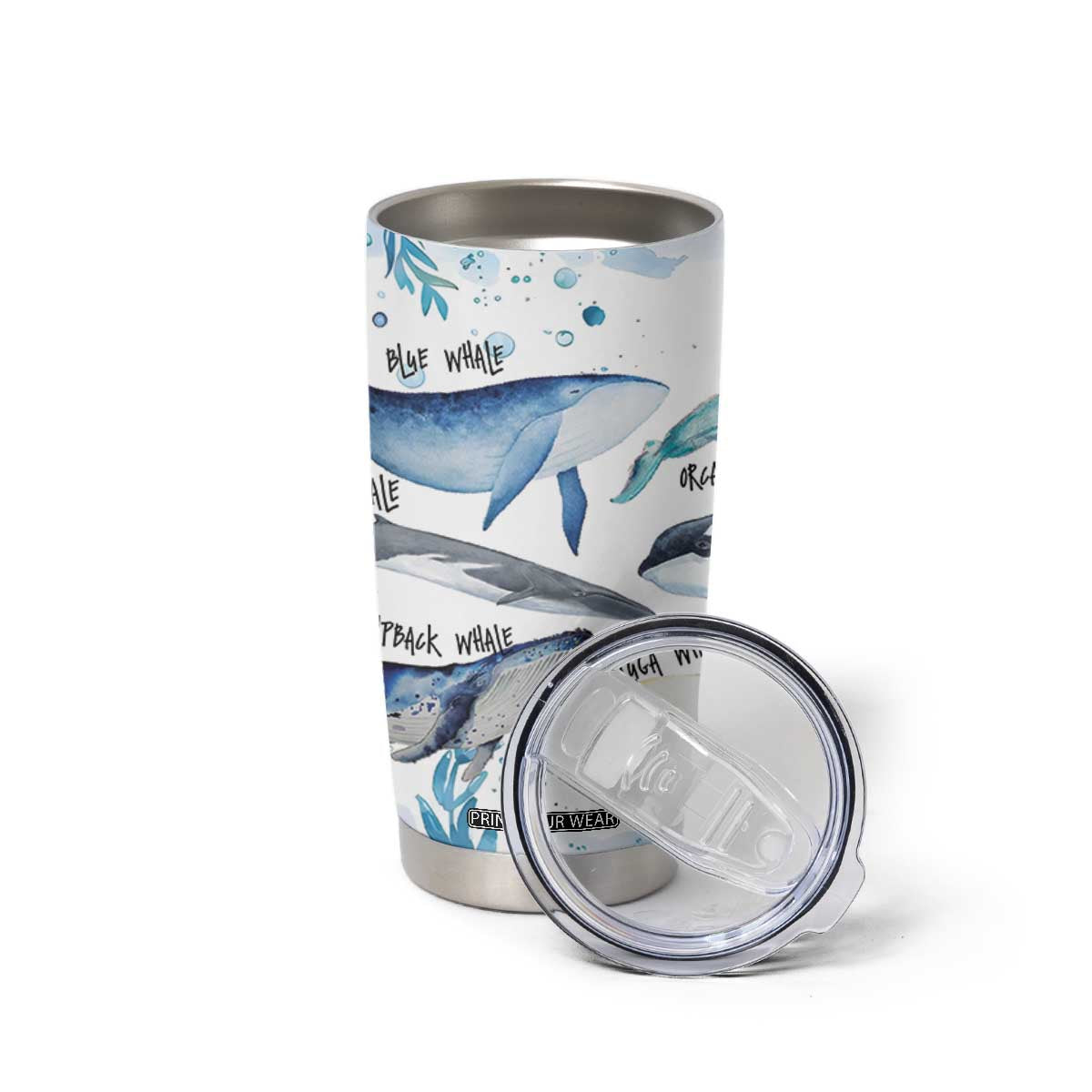 Shark Lovers Tumbler Cup Ocean Animal Species Of Sharks TB10 Print Your Wear