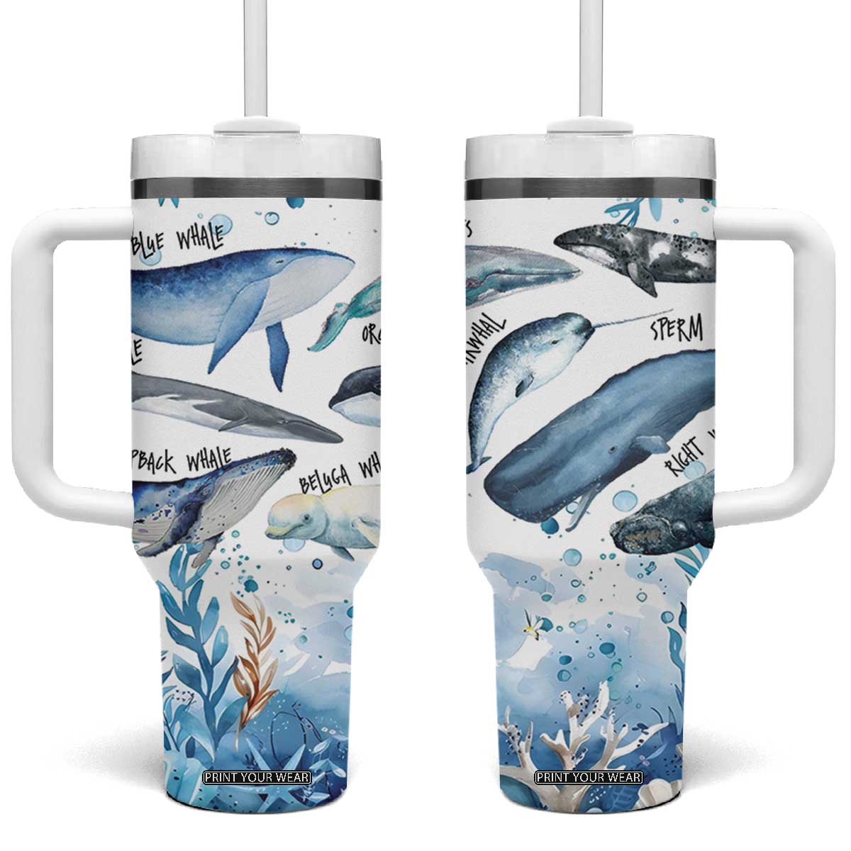 Shark Lovers Tumbler With Handle Ocean Animal Species Of Sharks TB10 One Size: 40 oz Blue Print Your Wear