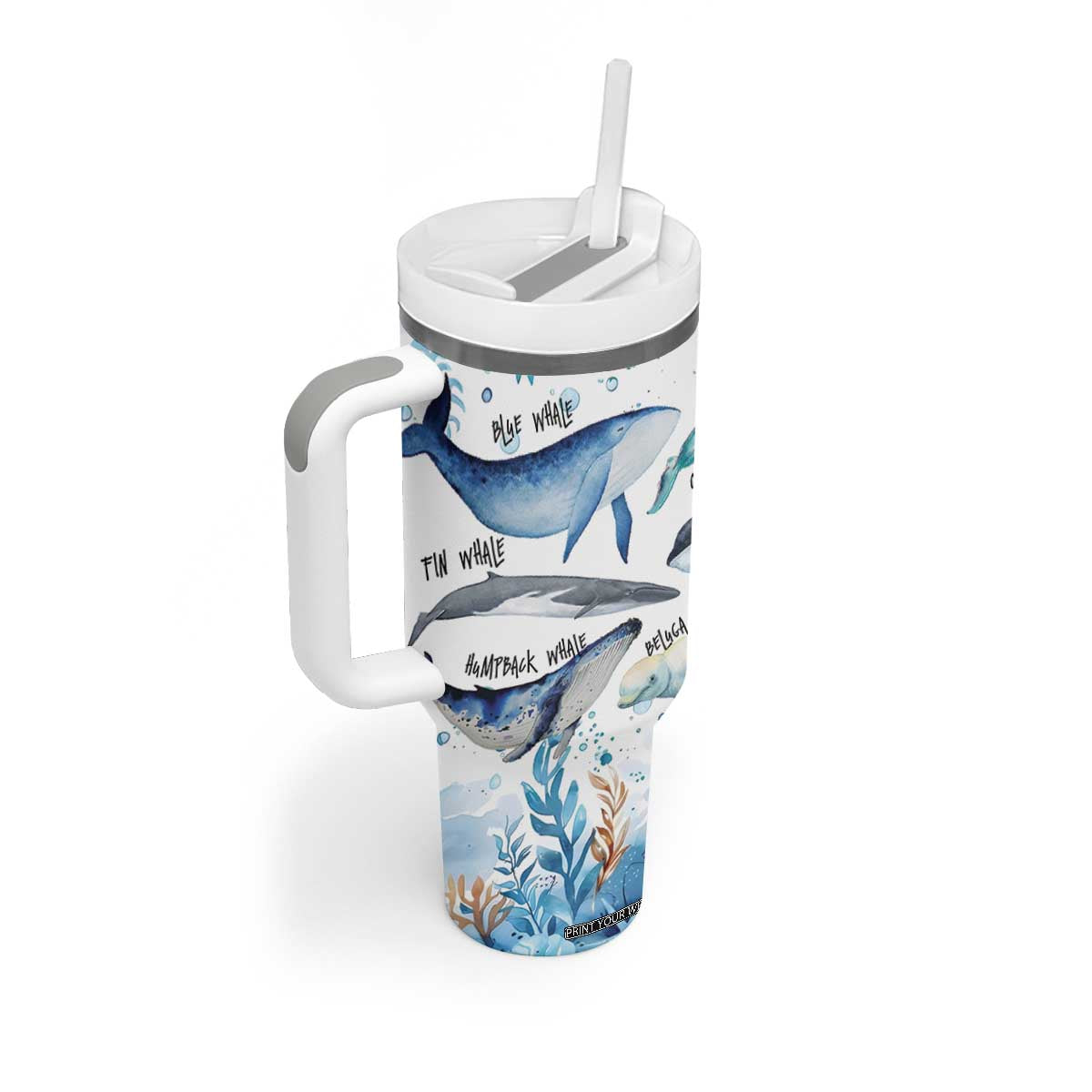 Shark Lovers Tumbler With Handle Ocean Animal Species Of Sharks TB10 Print Your Wear