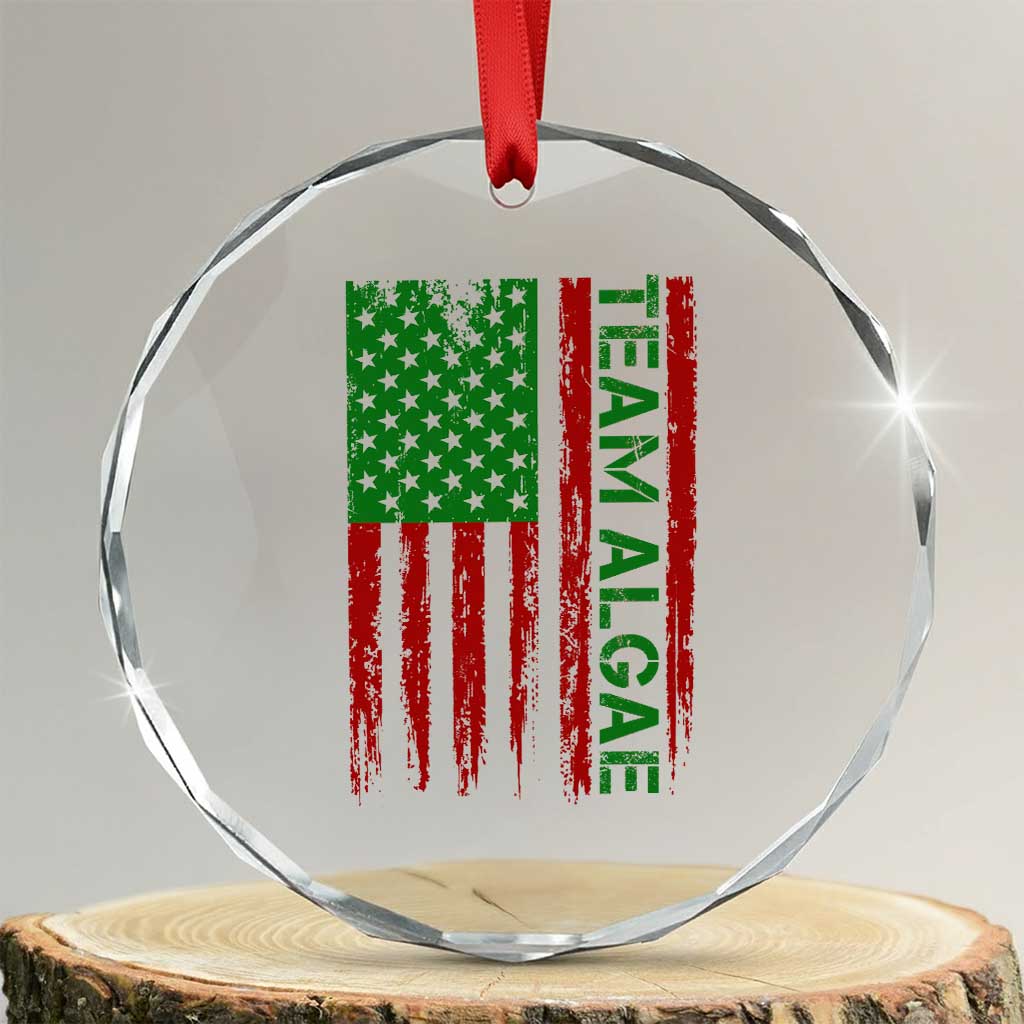 Team Algae Crystal Glass Ornament Funny Make Algae Great Again American Flag Political Meme TS14 Transparent Glass 3'' Circle Print Your Wear