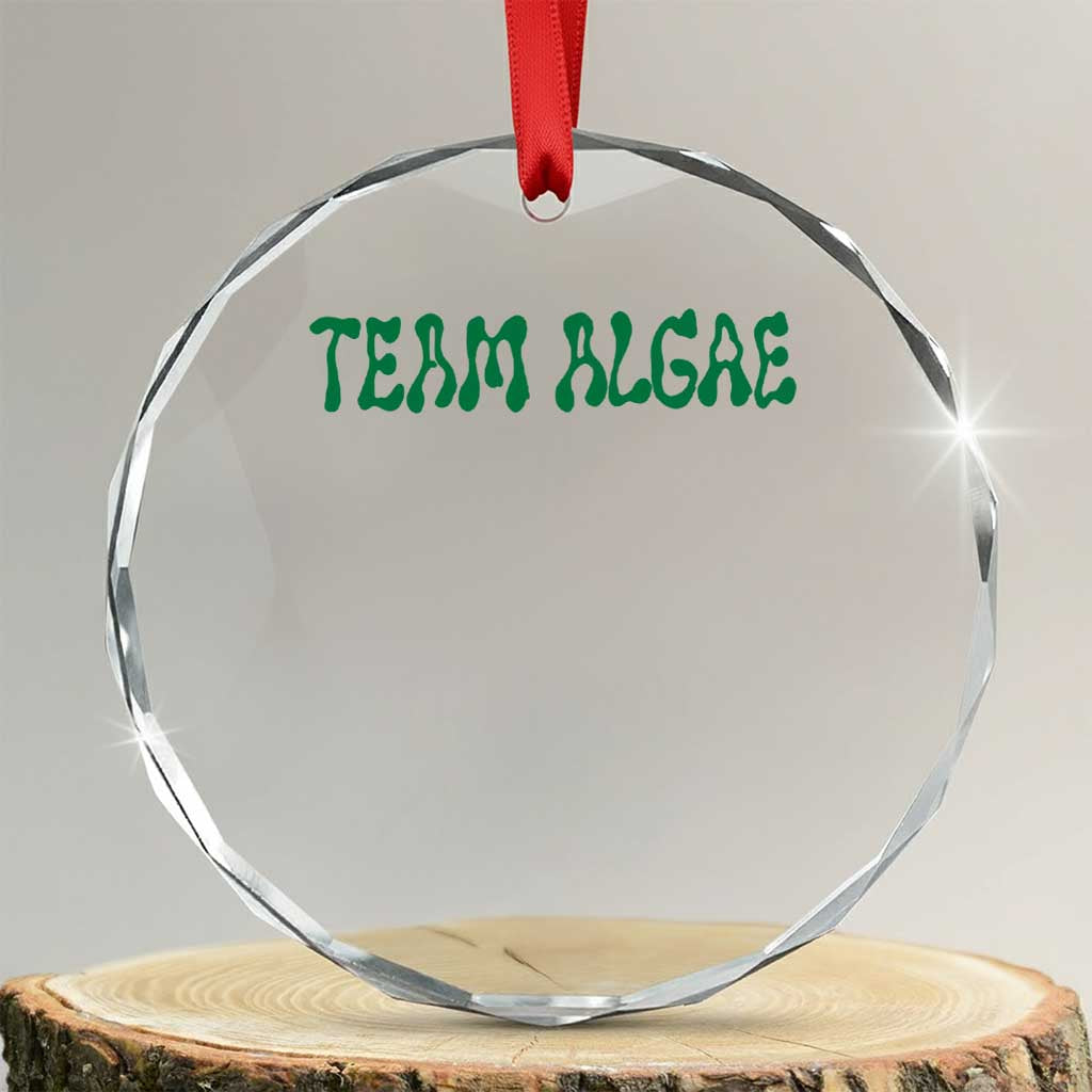 Team Algae Crystal Glass Ornament Political Satire Lincoln Reflecting Pool Midterm TS11 Transparent Glass 3'' Circle Print Your Wear