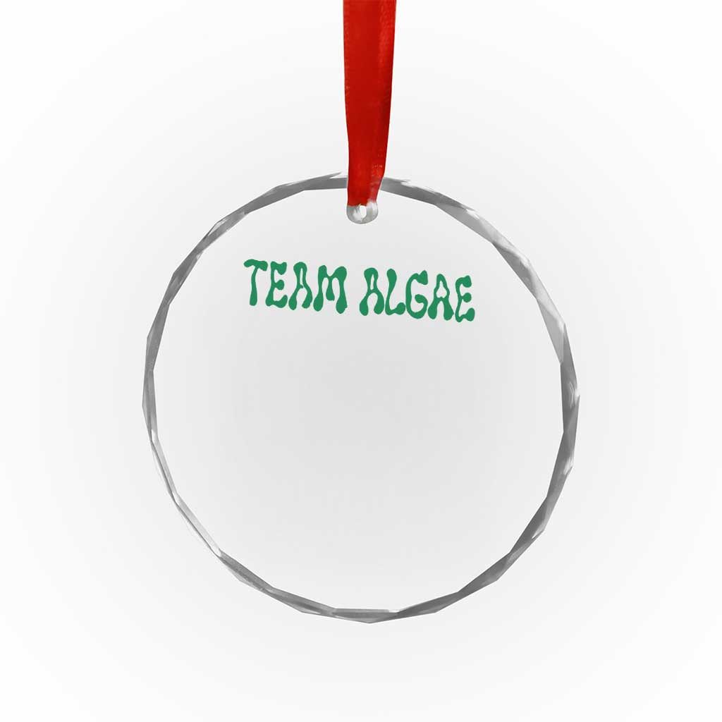 Team Algae Crystal Glass Ornament Political Satire Lincoln Reflecting Pool Midterm