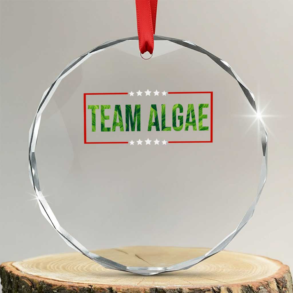Team Algae Satire Crystal Glass Ornament Funny Lincoln Memorial Reflecting Pool Meme Parody TS02 Transparent Glass 3'' Circle Print Your Wear