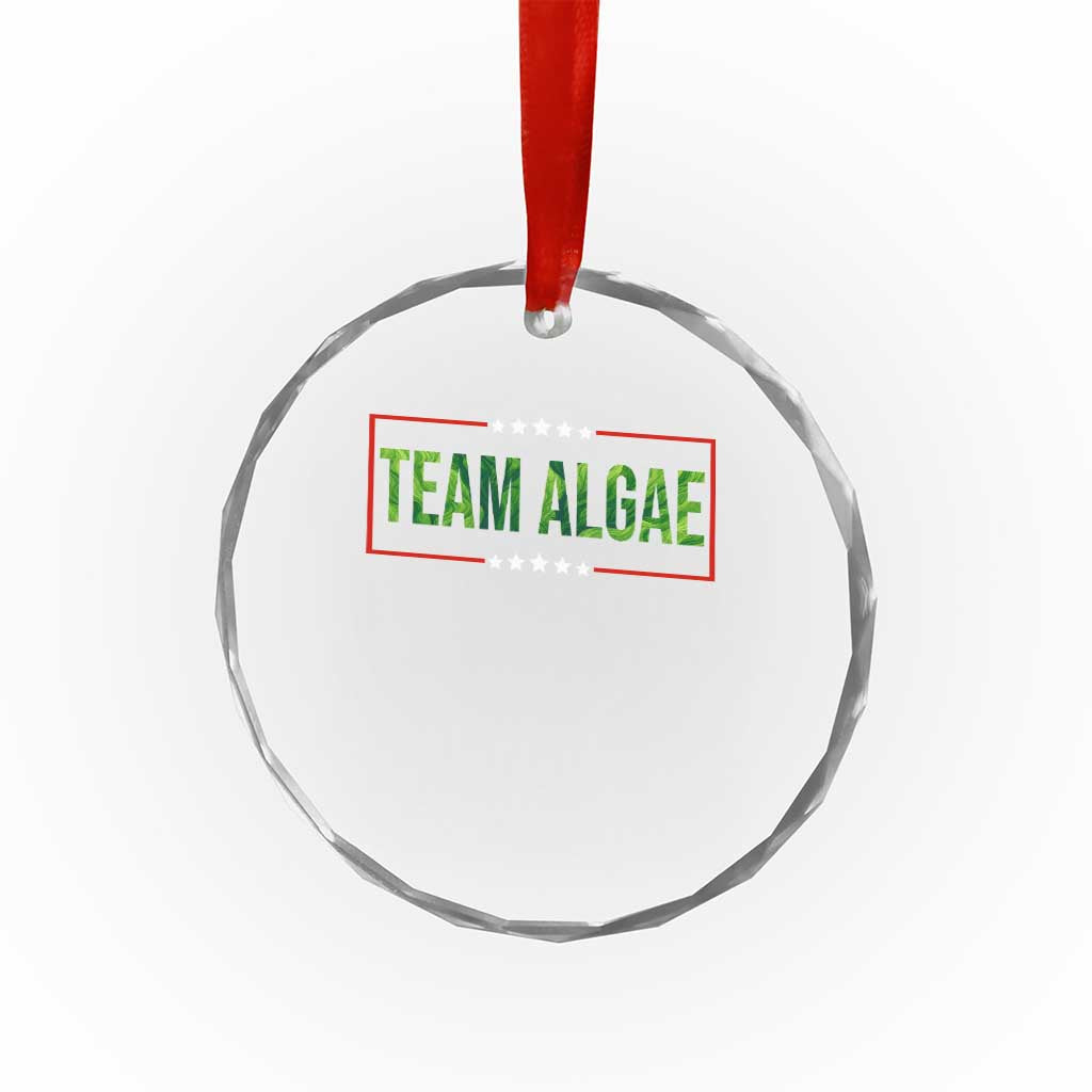 Team Algae Satire Crystal Glass Ornament Funny Lincoln Memorial Reflecting Pool Meme Parody