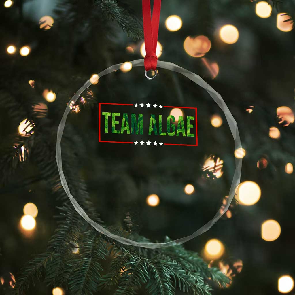Team Algae Satire Crystal Glass Ornament Funny Lincoln Memorial Reflecting Pool Meme Parody