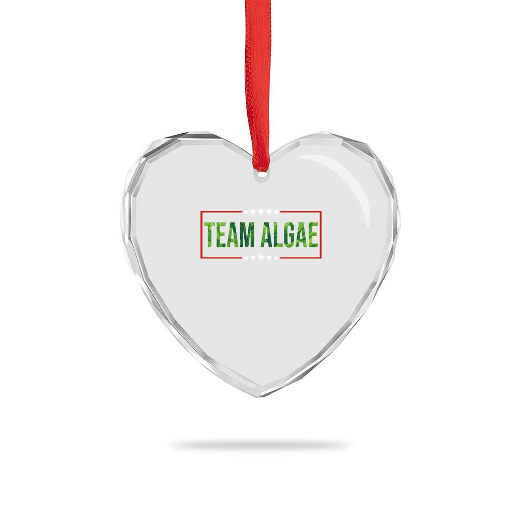 Team Algae Satire Heart Crystal Glass Ornament Funny Lincoln Memorial Reflecting Pool Meme Parody