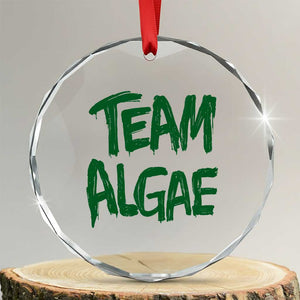 Team Algae Slime Dripping Style Graphic Crystal Glass Ornament Viral Lincoln Memorial Reflecting Pool Swamp Meme
