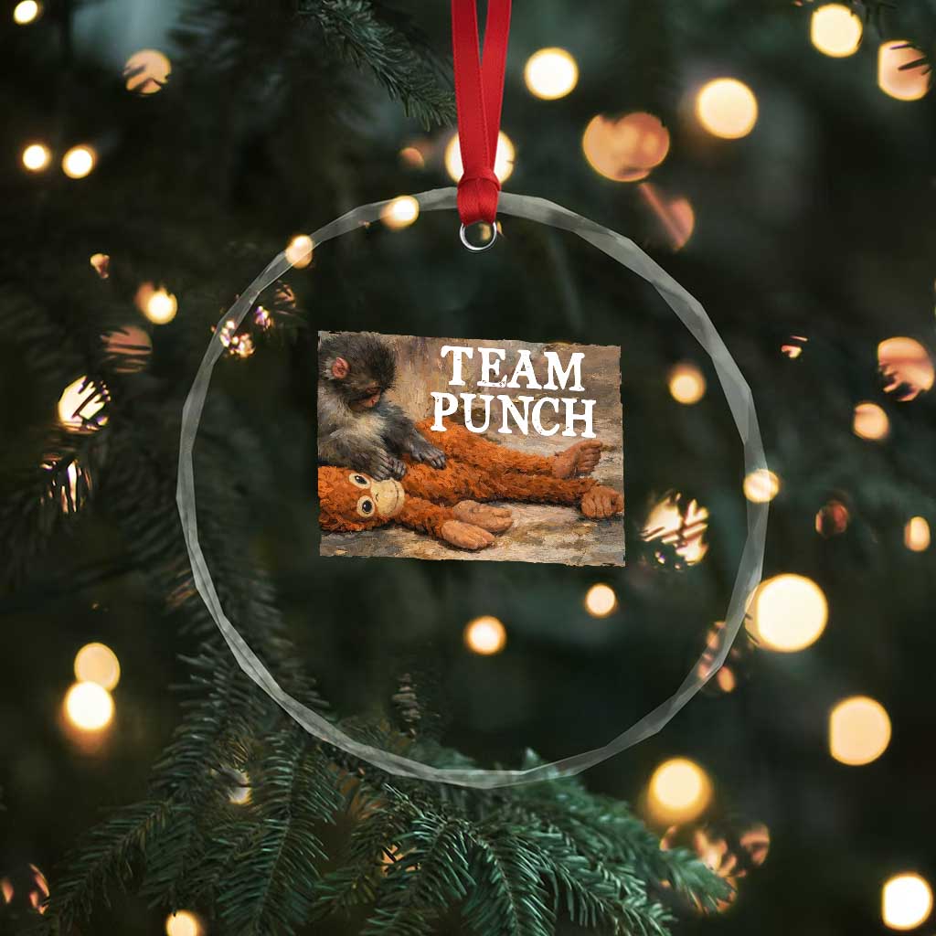 Team Punch Baby Monkey Plush Hugging Meme Crystal Glass Ornament TS11 Print Your Wear
