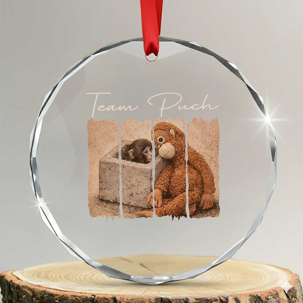 Team Punch Crystal Glass Ornament Baby Monkey And Plush Toy Viral TS14 Transparent Glass 3'' Circle Print Your Wear