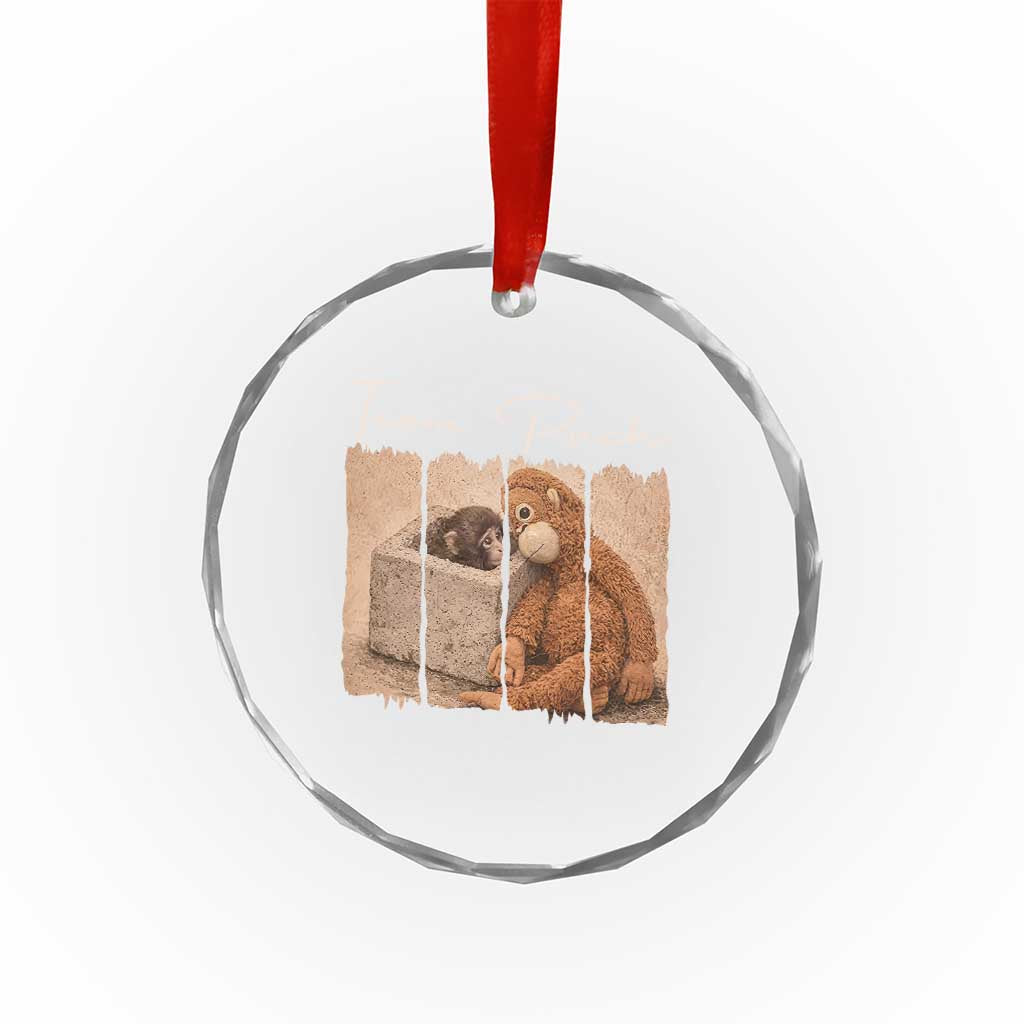 Team Punch Crystal Glass Ornament Baby Monkey And Plush Toy Viral TS14 Print Your Wear
