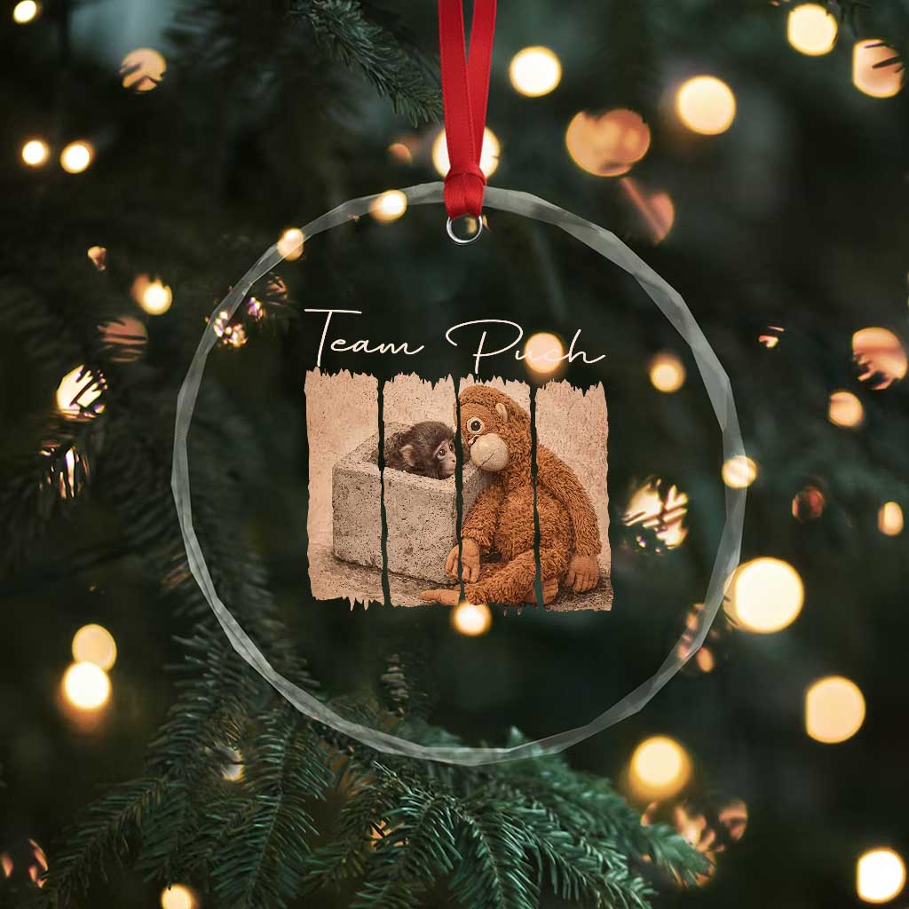 Team Punch Crystal Glass Ornament Baby Monkey And Plush Toy Viral TS14 Print Your Wear