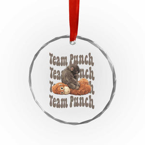 Team Punch Monkey Crystal Glass Ornament Baby Monkey And Plush Toy Viral TS14 Print Your Wear