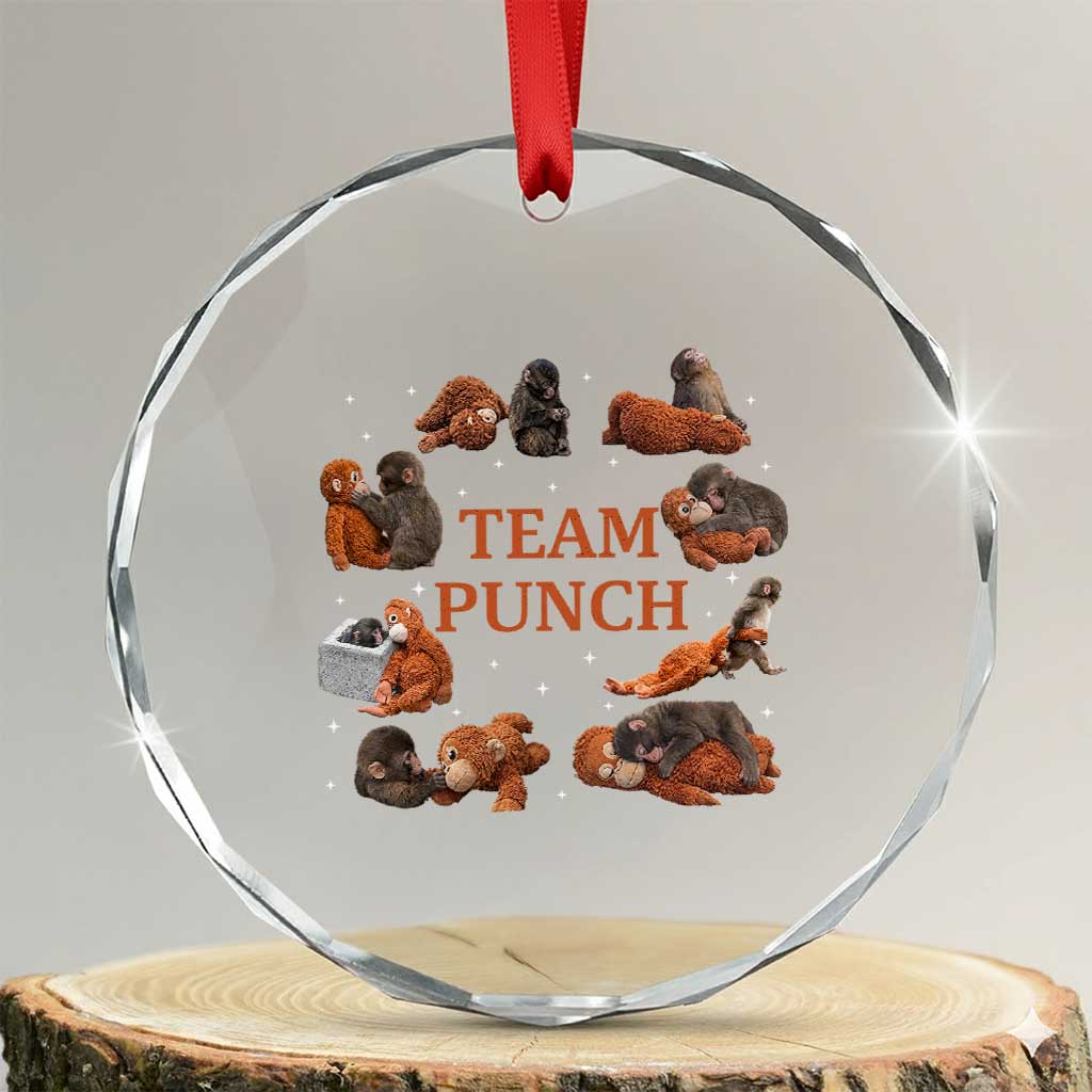 Team Punch Monkey Crystal Glass Ornament Viral Baby Monkey Meme TS14 Transparent Glass 3'' Circle Print Your Wear