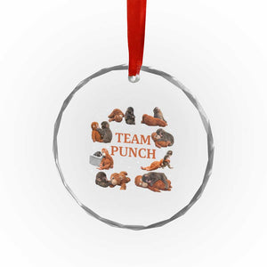 Team Punch Monkey Crystal Glass Ornament Viral Baby Monkey Meme TS14 Print Your Wear