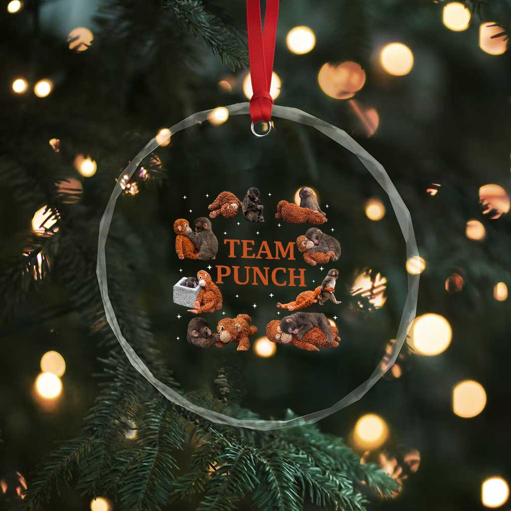 Team Punch Monkey Crystal Glass Ornament Viral Baby Monkey Meme TS14 Print Your Wear