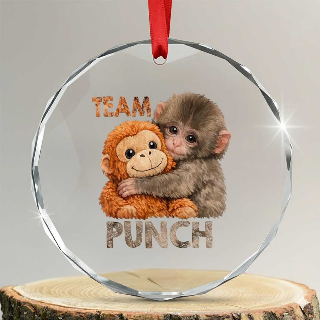 Team Punch Viral Baby Monkey Crystal Glass Ornament Cute Monkey Hugging Plush Toy Internet Trend Gift TS02 Transparent Glass 3'' Circle Print Your Wear