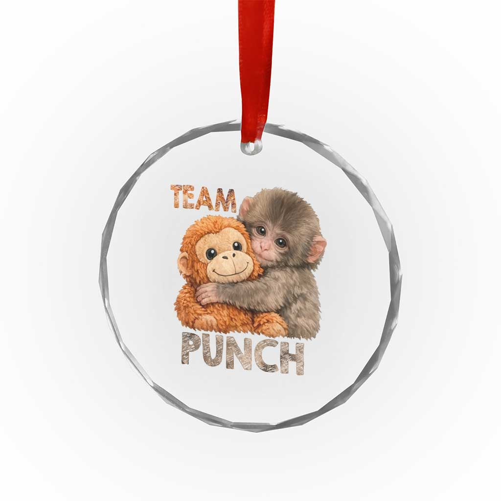 Team Punch Viral Baby Monkey Crystal Glass Ornament Cute Monkey Hugging Plush Toy Internet Trend Gift TS02 Print Your Wear