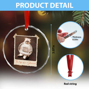 The Life Of A Showcat Crystal Glass Ornament Funny Vintage Photo Cat Era TS10 Print Your Wear