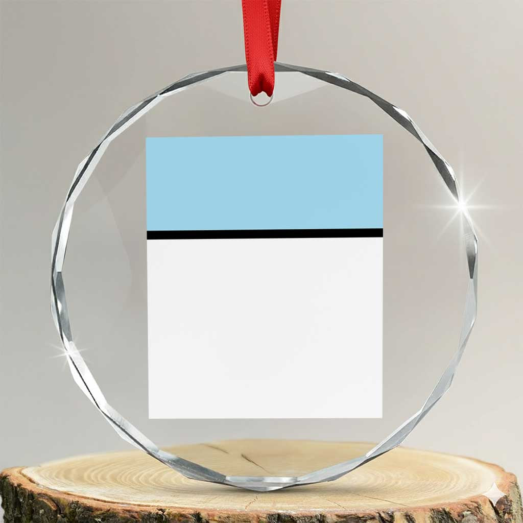 The Life Of A Teacher Crystal Glass Ornament In My Teacher Era Concert TS10 Transparent Glass 3'' Circle Print Your Wear