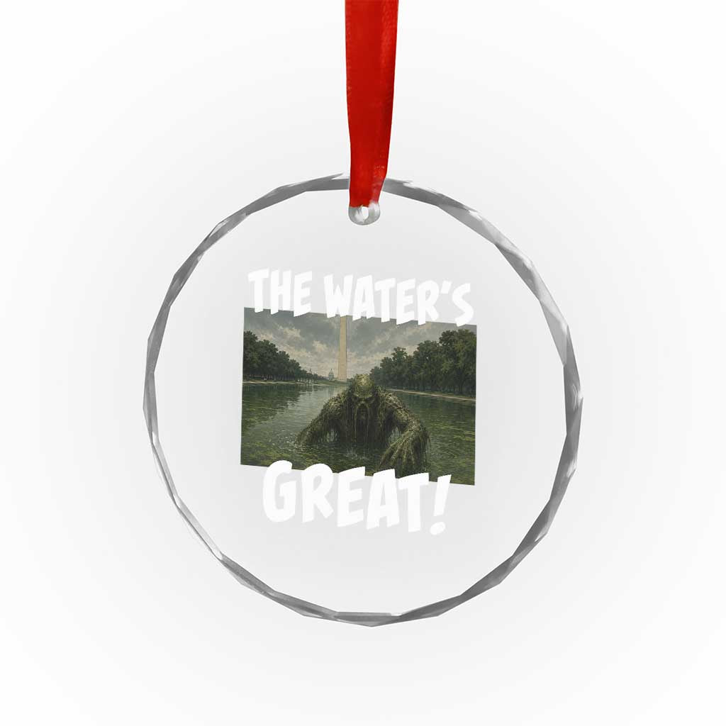The Water is Great Swamp Monster Reflecting Pool Crystal Glass Ornament Funny Washington DC Algae Creature Meme