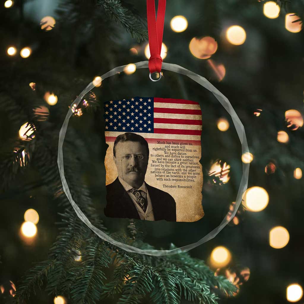 Theodore Roosevelt Quote Crystal Glass Ornament American President History TS14 Print Your Wear