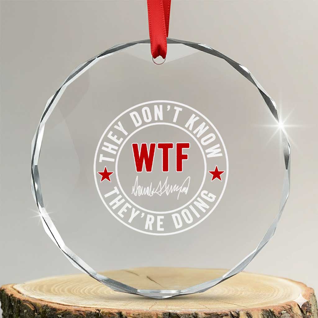 They Dont Know WTF Theyre Doing Crystal Glass Ornament Political Sarcasm TS02 Transparent Glass 3'' Circle Print Your Wear