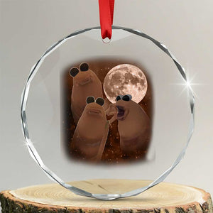 Three Marcus The Worm Moon Crystal Glass Ornament Funny Weird Cursed Meme TS11 Transparent Glass 3'' Circle Print Your Wear