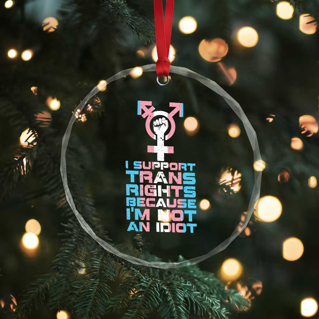 Trans Ally Crystal Glass Ornament Transgender Pride Flag Support TS10 Print Your Wear