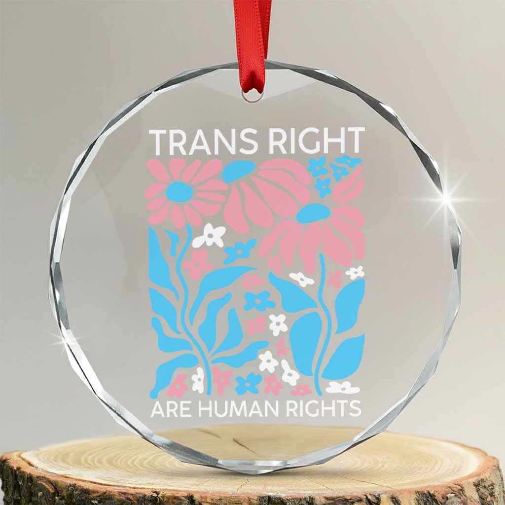 Trans Rights Crystal Glass Ornament Protect Trans Social Justice LGBT TS10 Transparent Glass 3'' Circle Print Your Wear