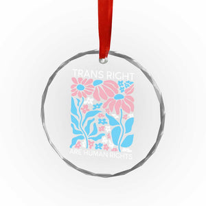 Trans Rights Crystal Glass Ornament Protect Trans Social Justice LGBT TS10 Print Your Wear