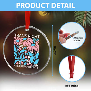 Trans Rights Crystal Glass Ornament Protect Trans Social Justice LGBT TS10 Print Your Wear