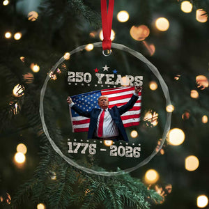 Trump 250th Anniversary Crystal Glass Ornament 250 Years America Vintage USA Flag TS11 Print Your Wear