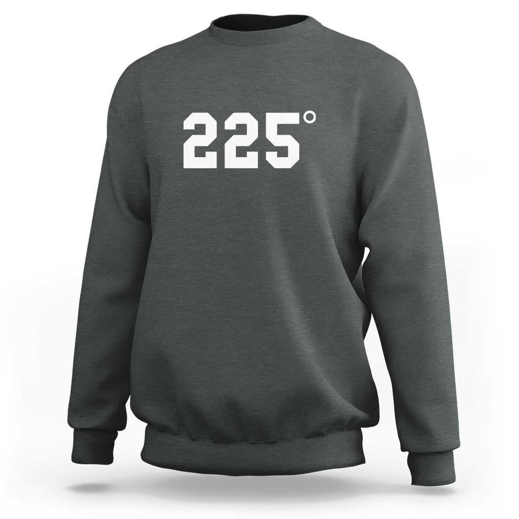 225 Degrees BBQ Sweatshirt Grilling and Smoking Meat Tee, Barbecue Enthusiast Gift TS01 Dark Heather Print Your Wear