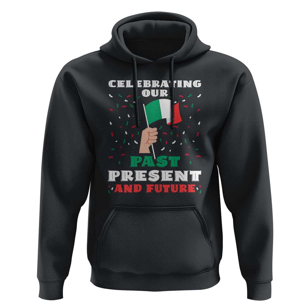 Celebrate Mexican Independence Day Hoodie Mexico Flag Tee for Proud Mexicans TS01 Black Print Your Wear