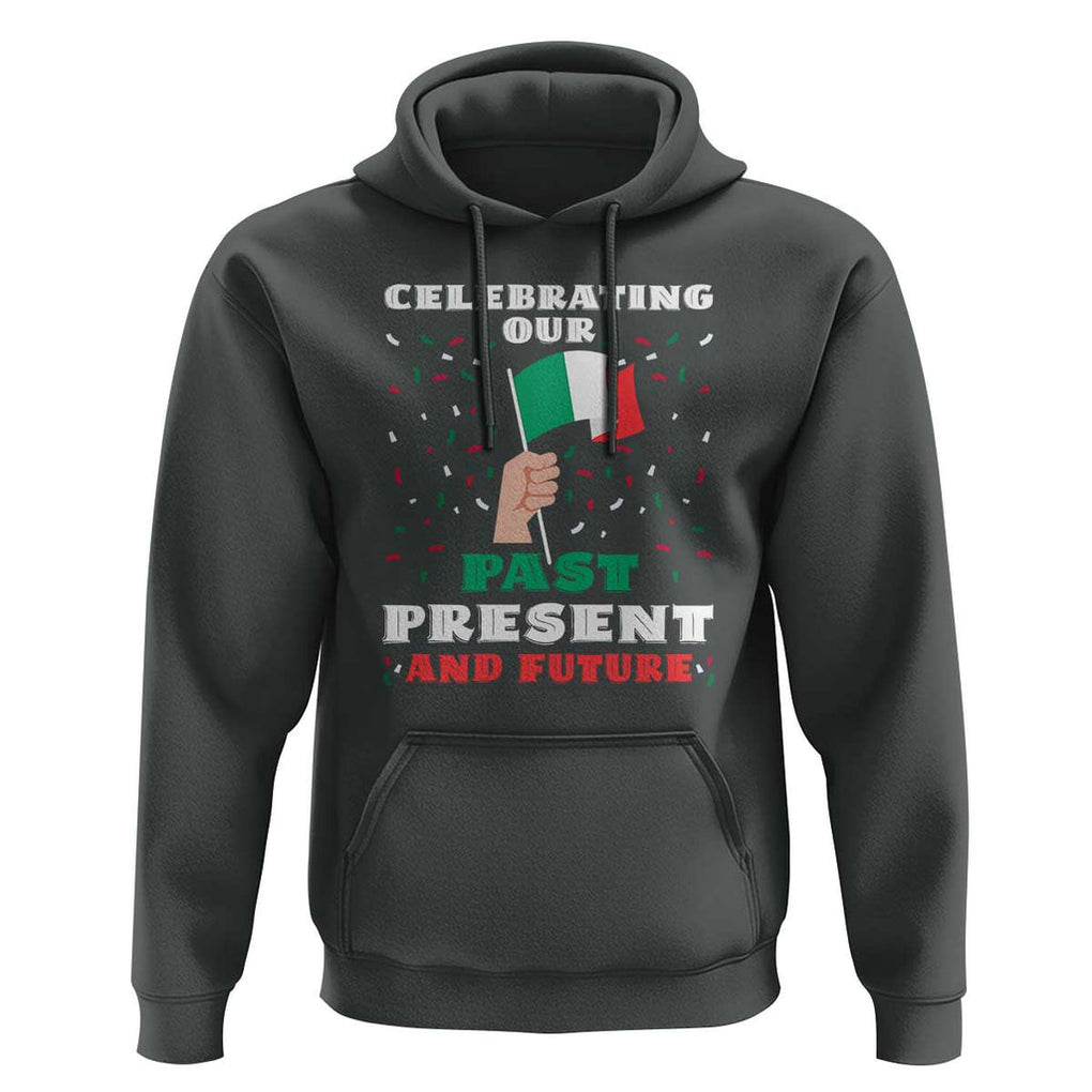 Celebrate Mexican Independence Day Hoodie Mexico Flag Tee for Proud Mexicans TS01 Dark Heather Print Your Wear