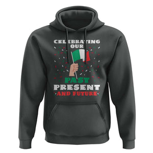 Celebrate Mexican Independence Day Hoodie Mexico Flag Tee for Proud Mexicans TS01 Dark Heather Print Your Wear