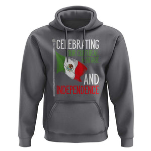 Mexican Flag for Independence Day Hoodie Proudly Display Your Mexican Pride TS01 Charcoal Print Your Wear