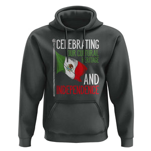 Mexican Flag for Independence Day Hoodie Proudly Display Your Mexican Pride TS01 Dark Heather Print Your Wear