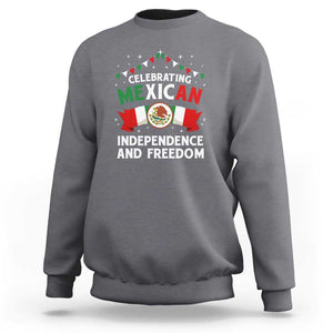 Celebrate Mexican Independence Day in Style Sweatshirt Proudly Display Mexicos Flag TS01 Charcoal Print Your Wear