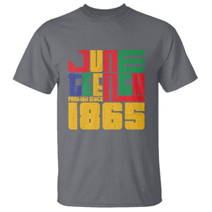Vintage Free Ish Since 1865 T Shirt TS01 Charcoal Printyourwear