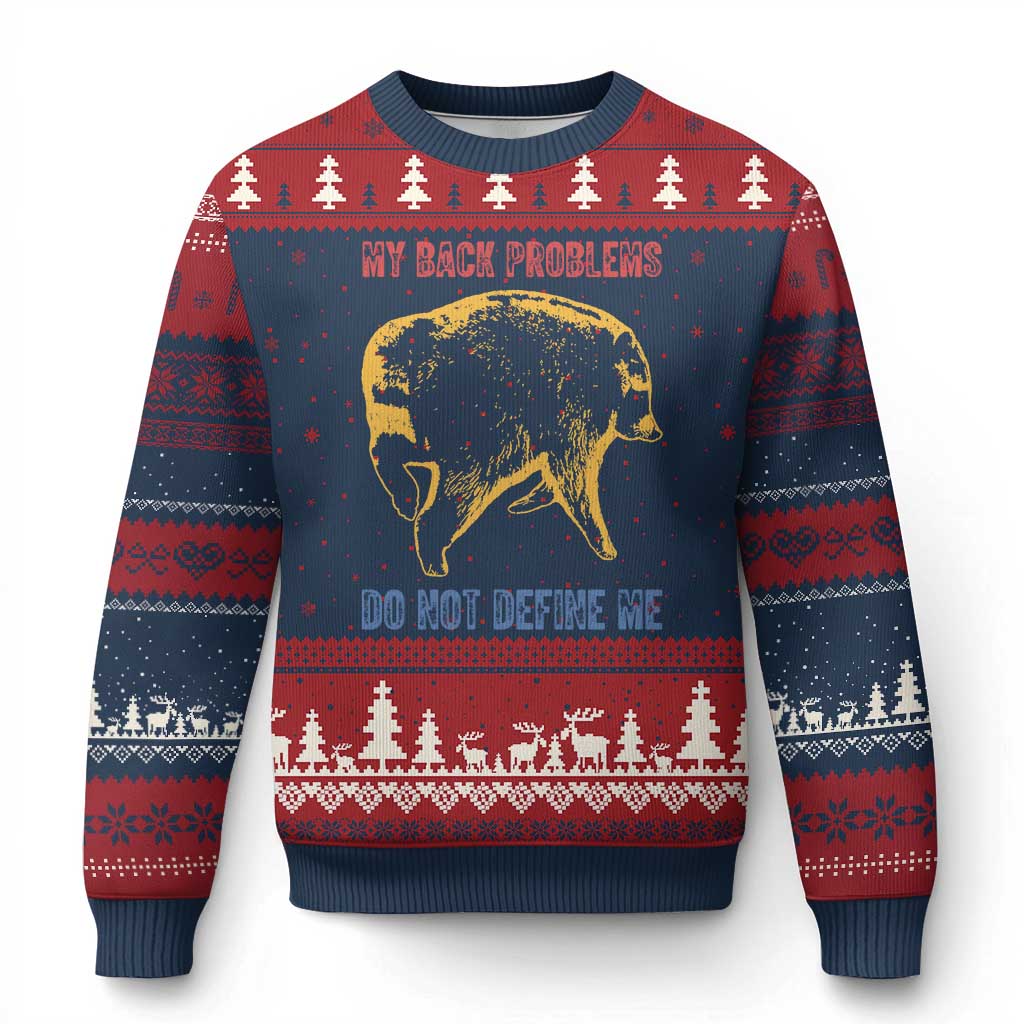 Funny Jimothy Meme Back Pain Humor Ugly Christmas Sweater My Back Problems Do Not Define Me Viral Seattle Raccoon