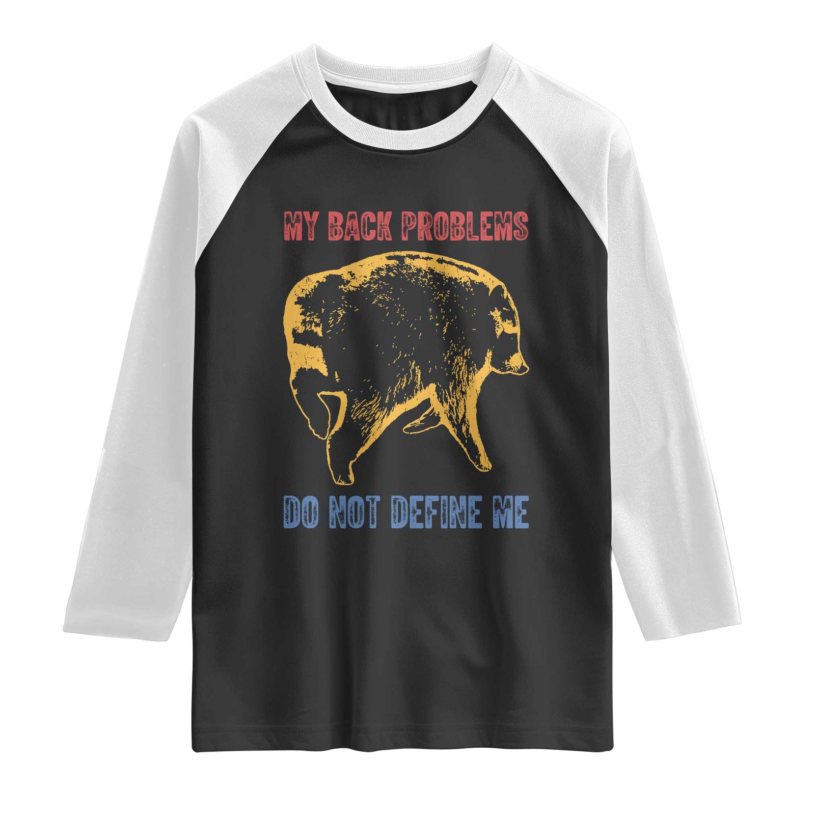 Funny Jimothy Meme Back Pain Humor Raglan Shirt My Back Problems Do Not Define Me Viral Seattle Raccoon