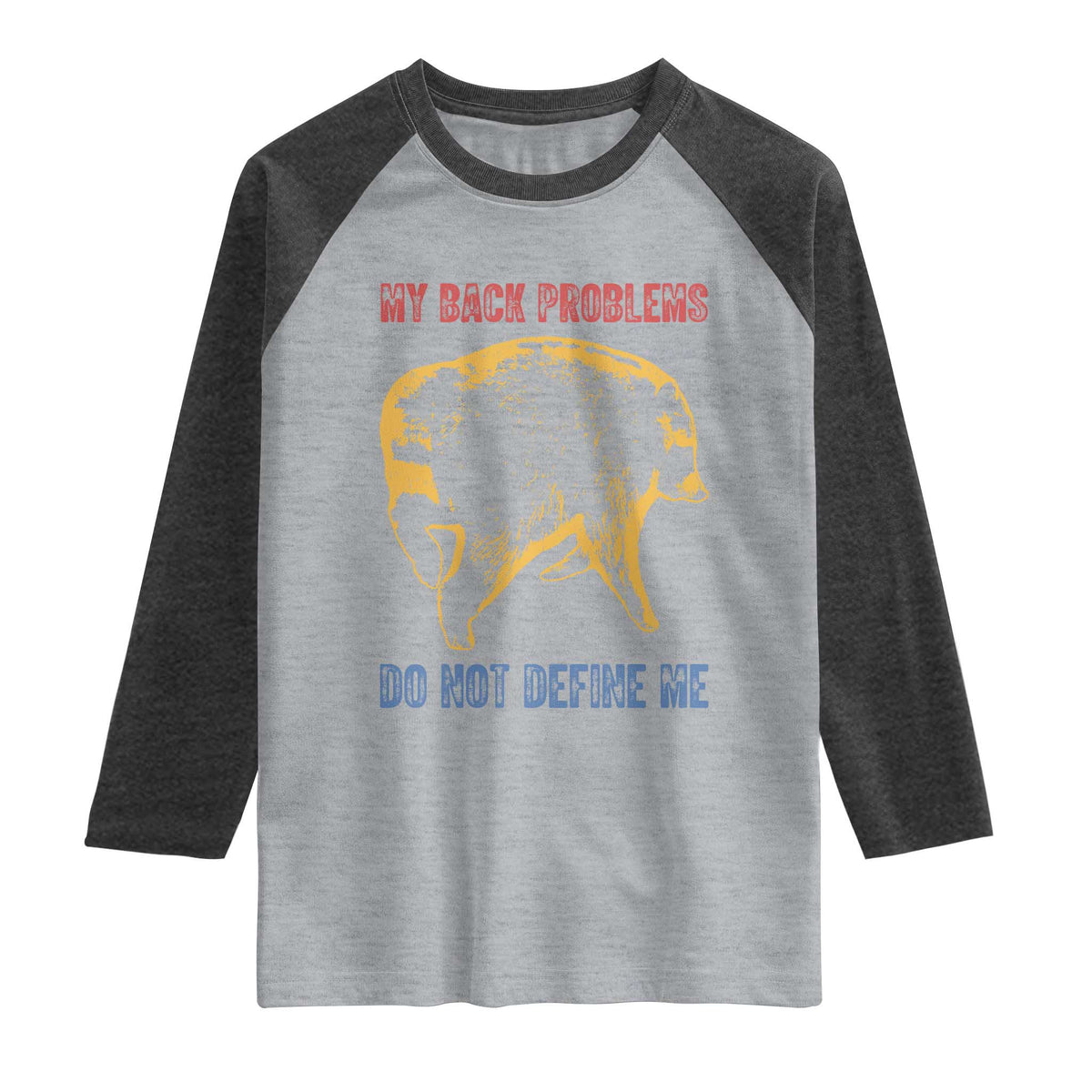Funny Jimothy Meme Back Pain Humor Raglan Shirt My Back Problems Do Not Define Me Viral Seattle Raccoon