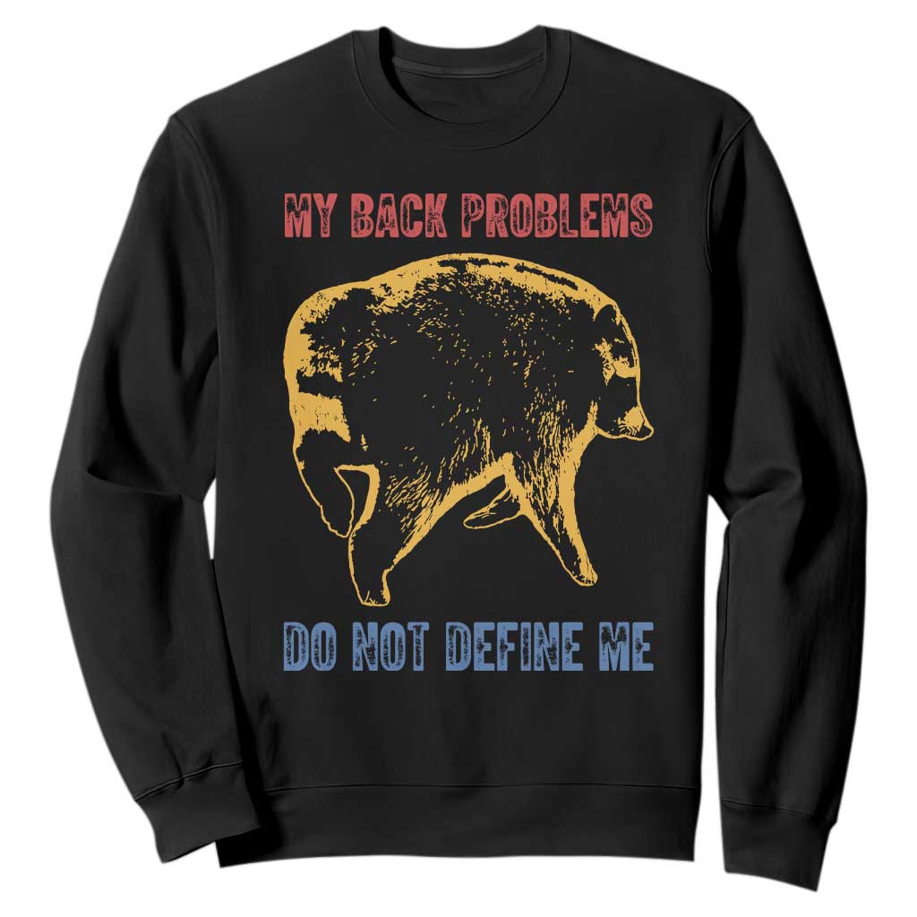 Funny Jimothy Meme Back Pain Humor Sweatshirt My Back Problems Do Not Define Me Viral Seattle Raccoon