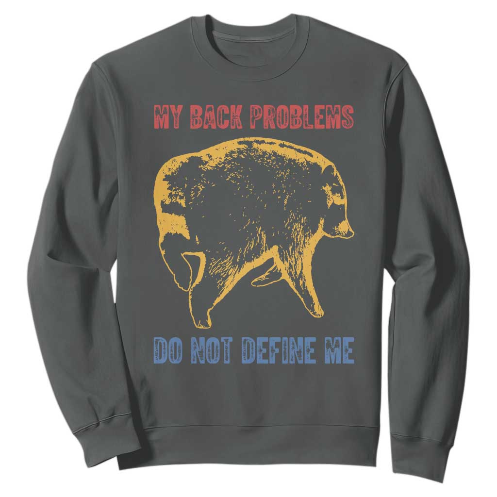 Funny Jimothy Meme Back Pain Humor Sweatshirt My Back Problems Do Not Define Me Viral Seattle Raccoon
