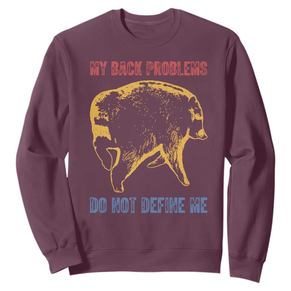 Funny Jimothy Meme Back Pain Humor Sweatshirt My Back Problems Do Not Define Me Viral Seattle Raccoon